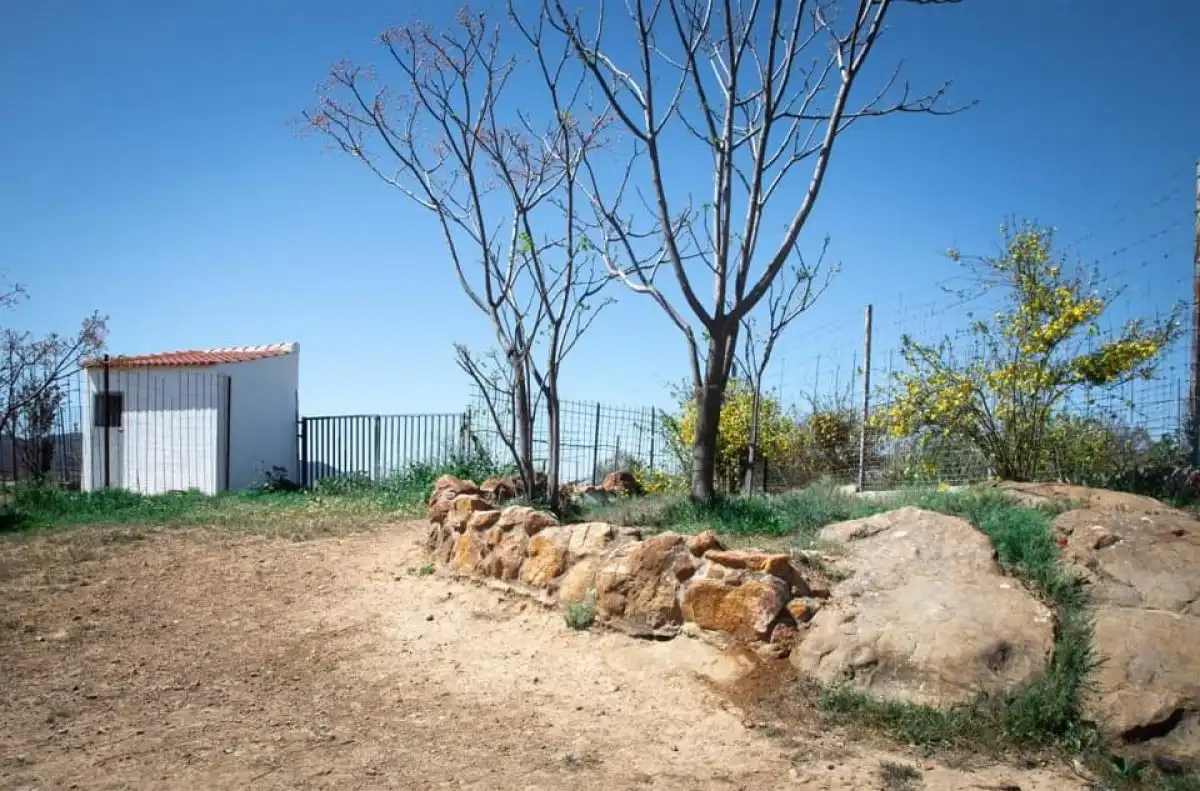 Landhaus zum Verkauf in Peñarroya-Pueblonuevo, imagen 11