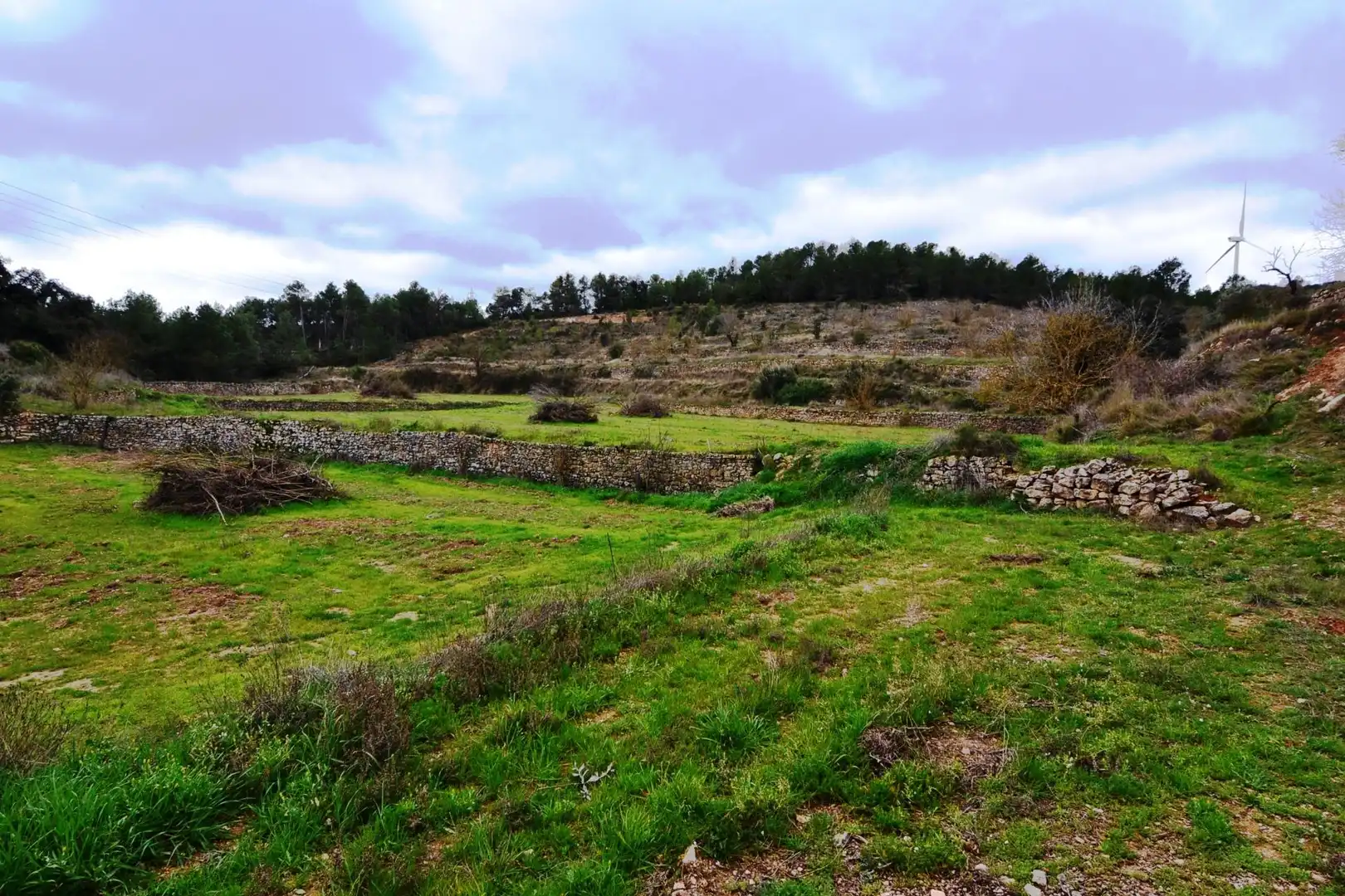 Terreno en venta en Vilalba dels Arcs