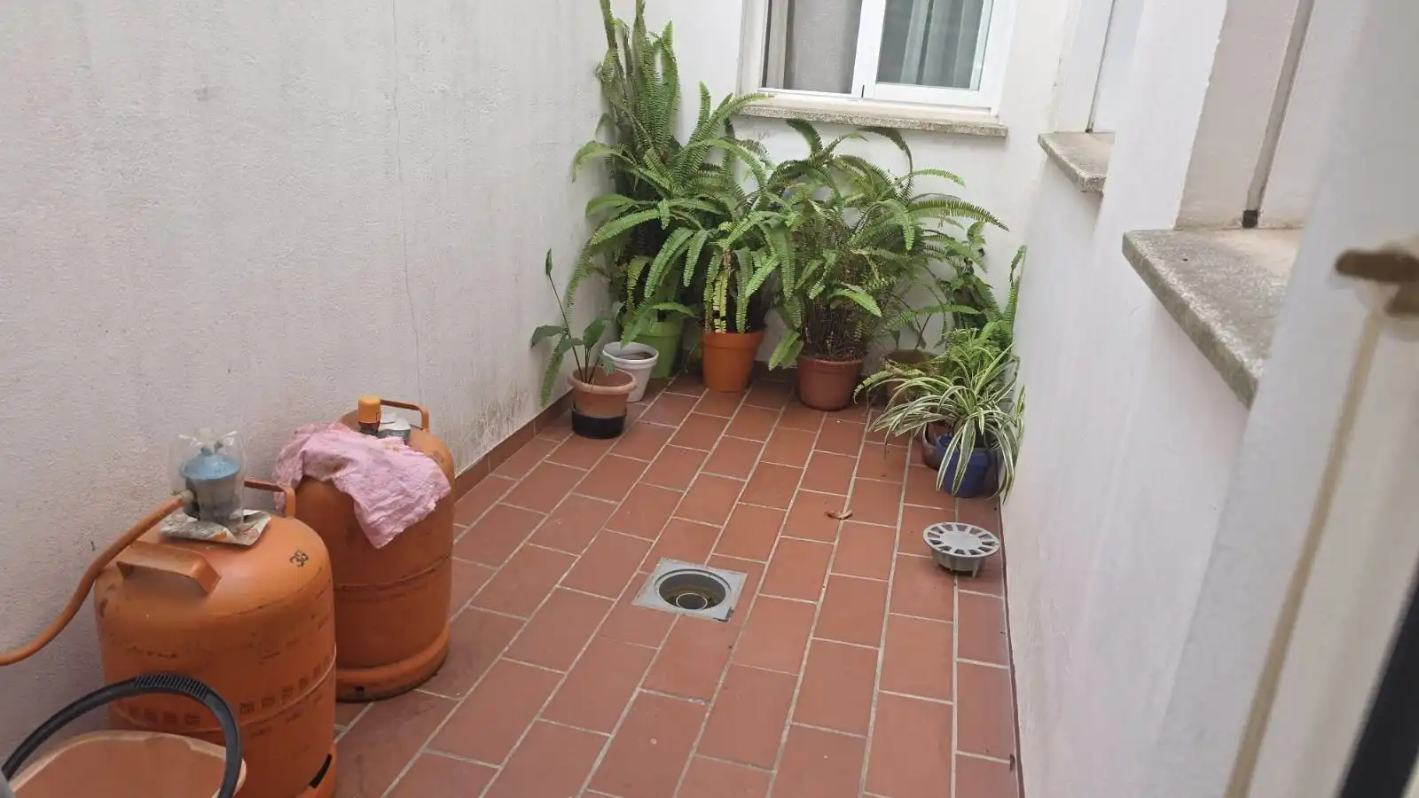 Appartement à vendre à Centro- San Felipe - Huerta Fava, imagen 6