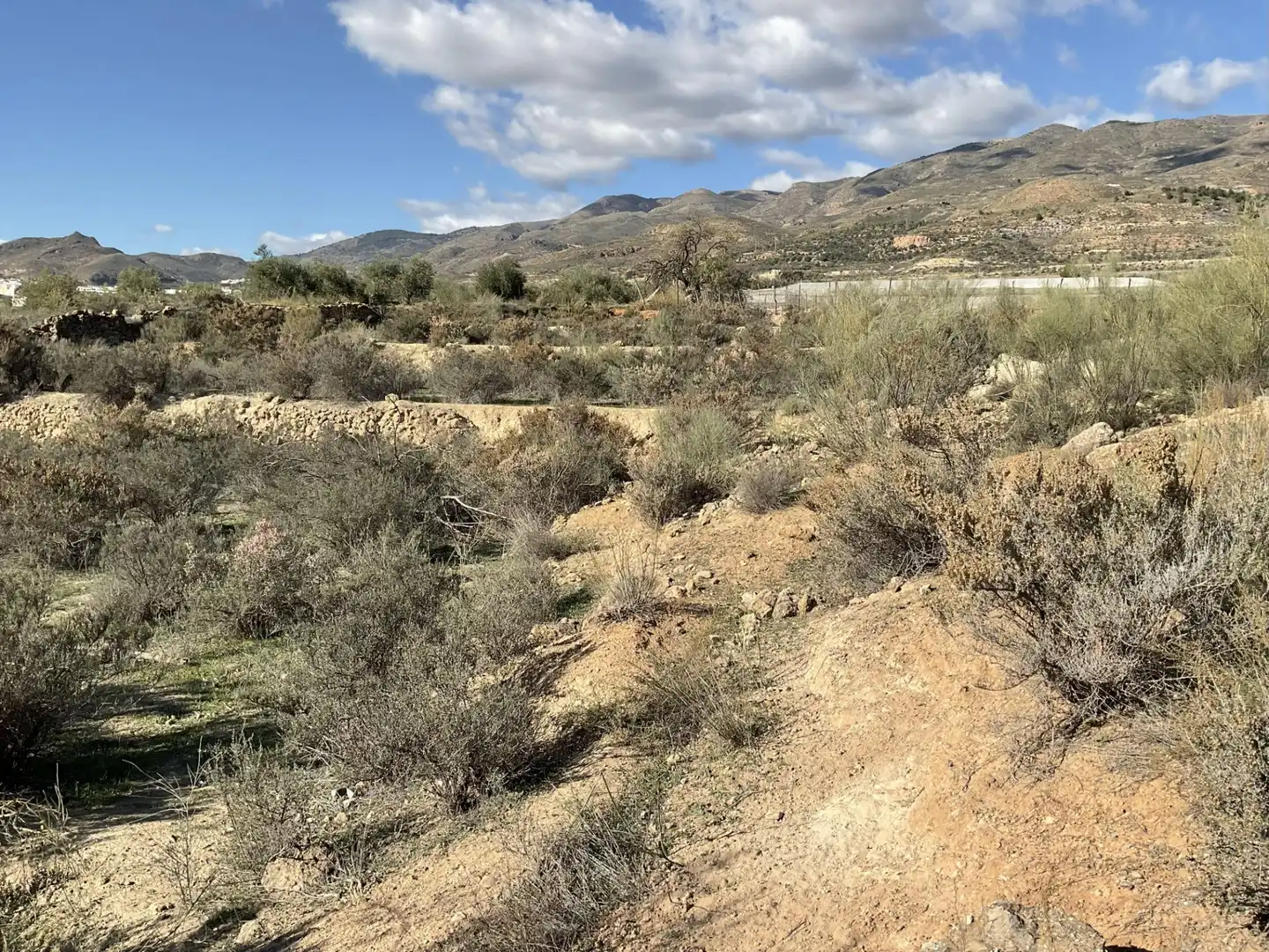 Land for sale in Padules