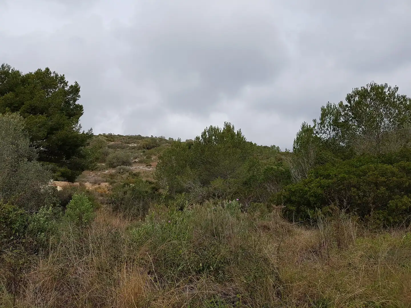 Terreny residencial en venda a Carrer Vallès 5, imagen 3