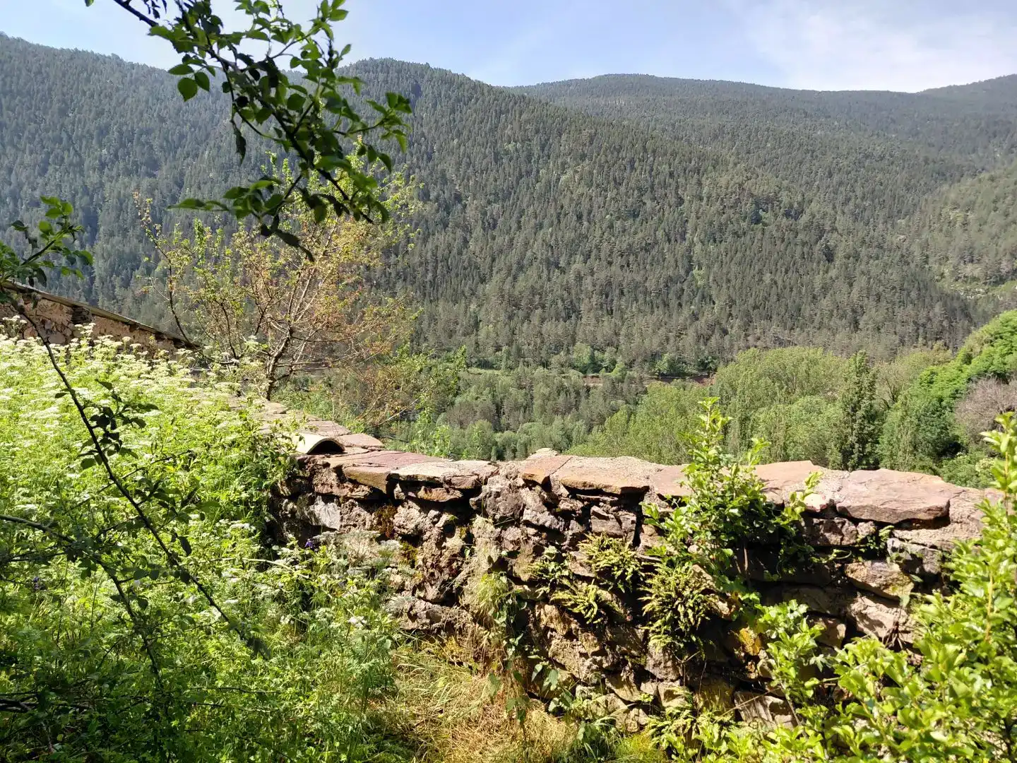 Finca rústica en venta en Laspaúles, Huesca