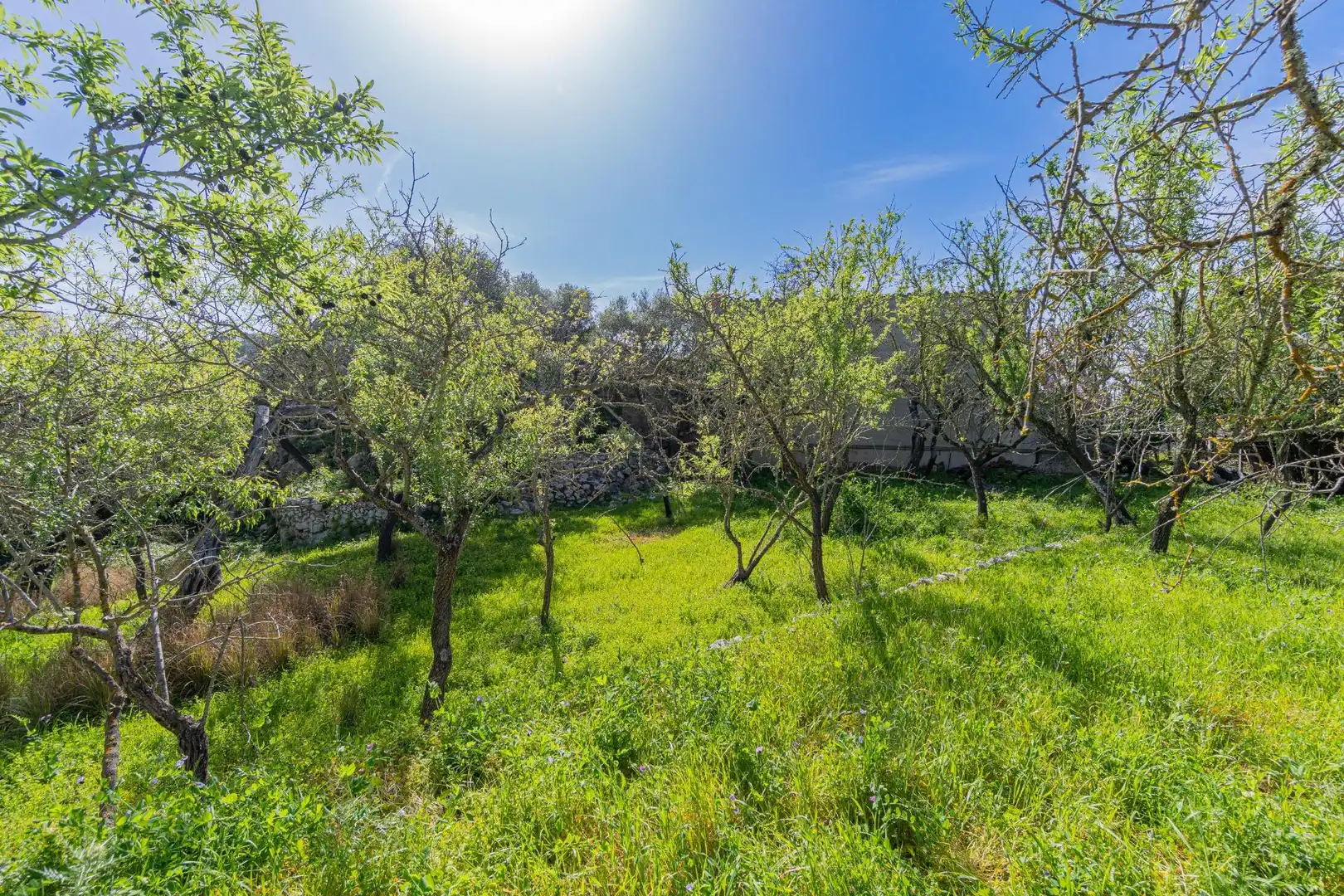 Finca rústica en venta en Puigpunyent con Jardín privado, Terraza y Trastero