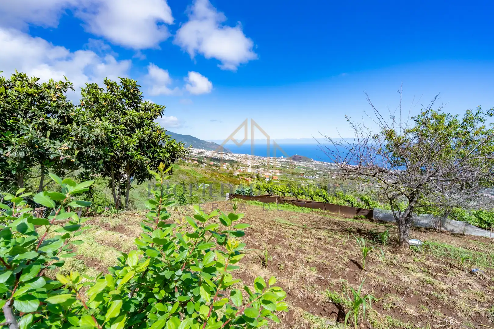 Casa rústica con jardín en venta en La Perdoma - San Antonio - Benijos, imagen 19
