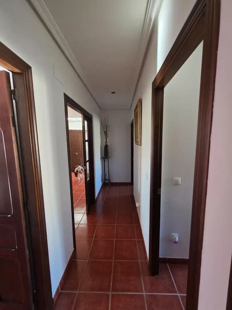 Casa o chalet en venta en Gorga con Terraza y Piscina