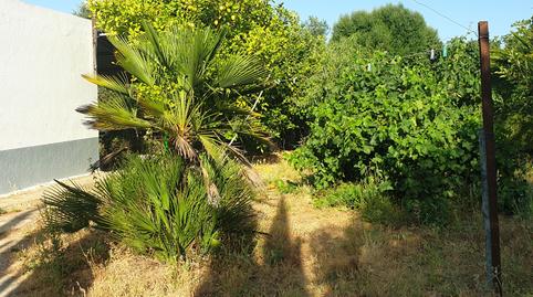 Photo 3 of Country house for sale in Arcos de la Frontera, Cádiz