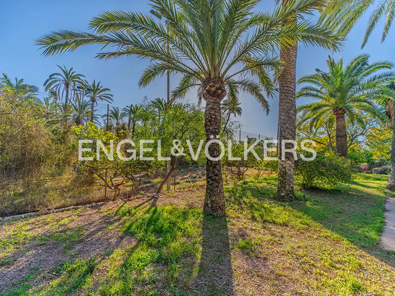 Casa o xalet en venda en Elche / Elx amb Aire condicionat, Calefacció i Jardí privat