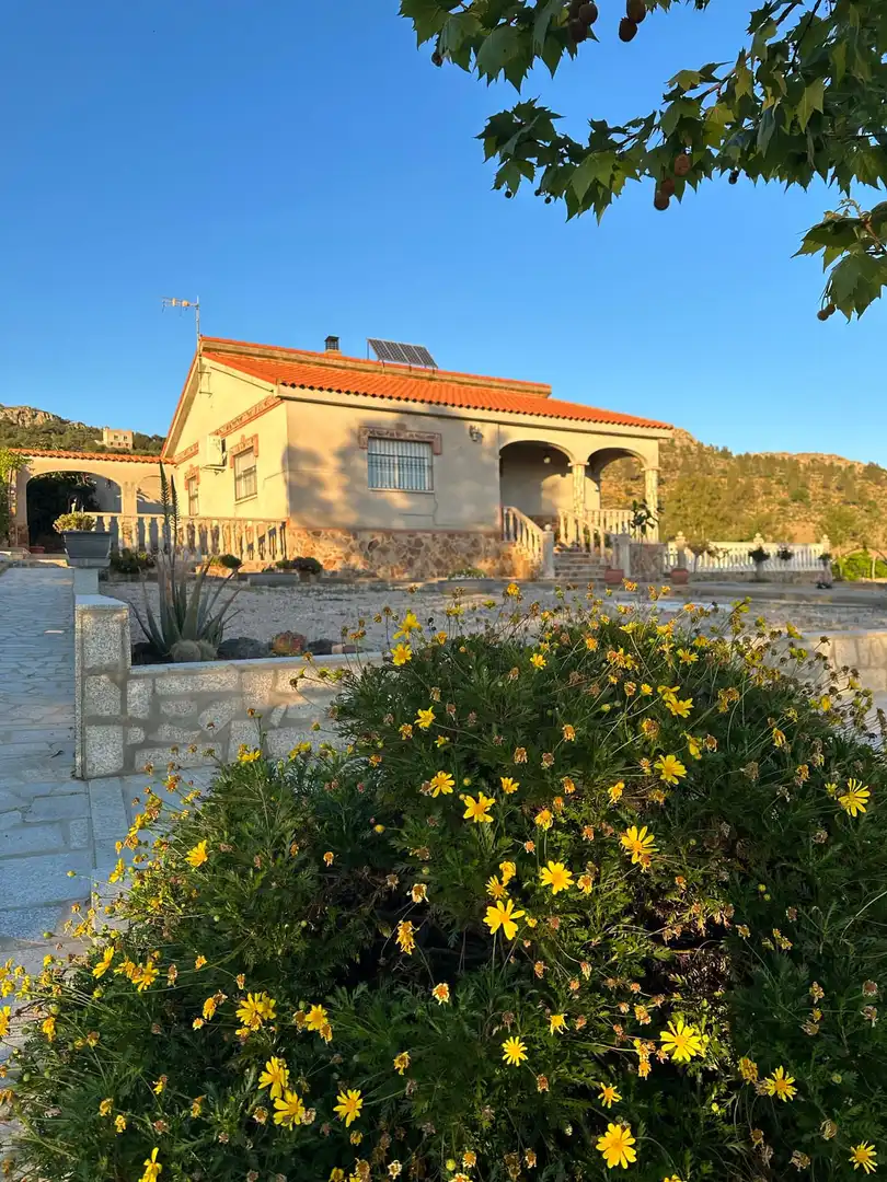 Vista exterior de Casa o xalet en venda en Magacela amb Jardí privat, Terrassa i Piscina