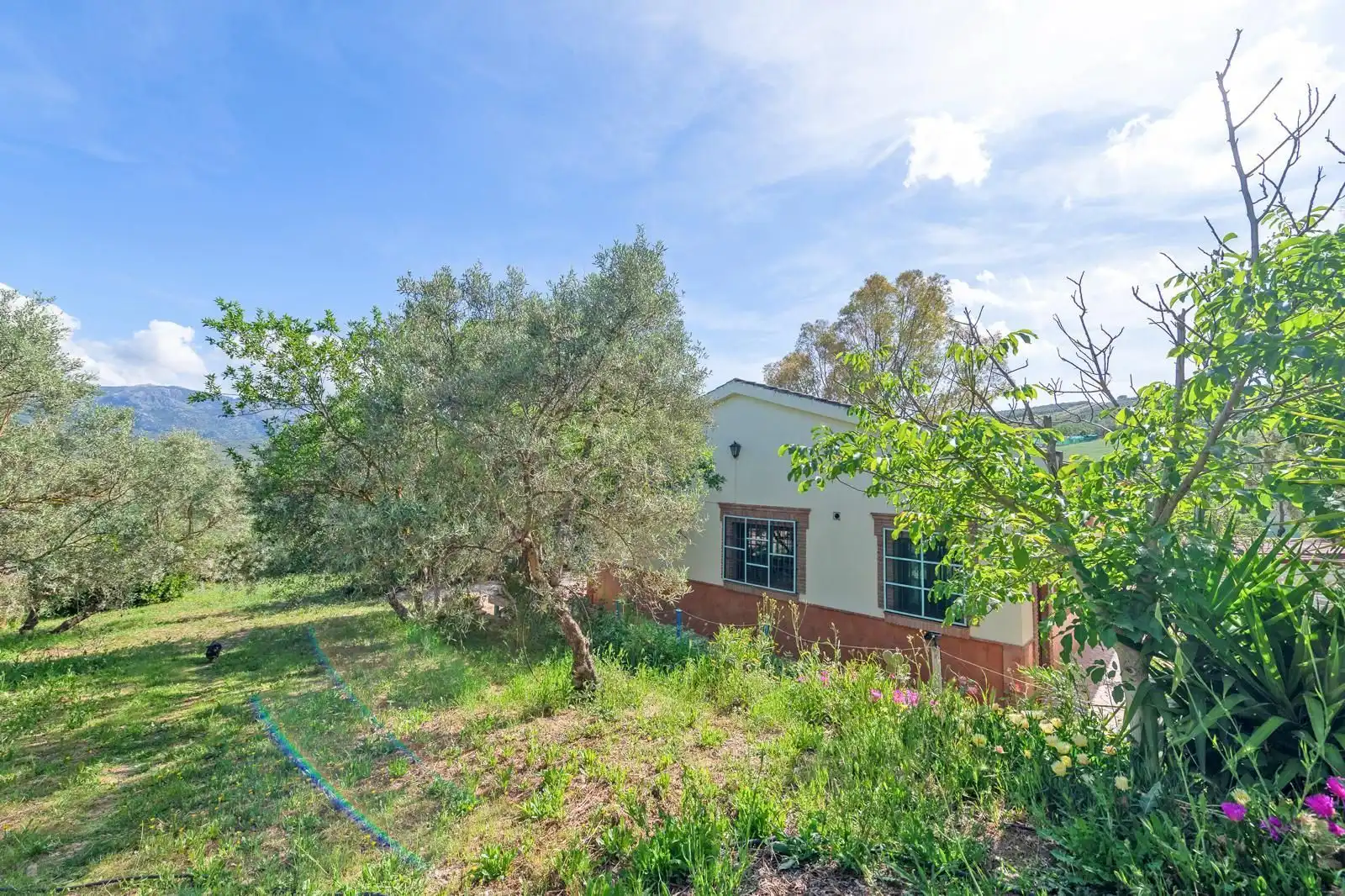 Casa rústica con jardín en venta en Villanueva del Trabuco, imagen 12