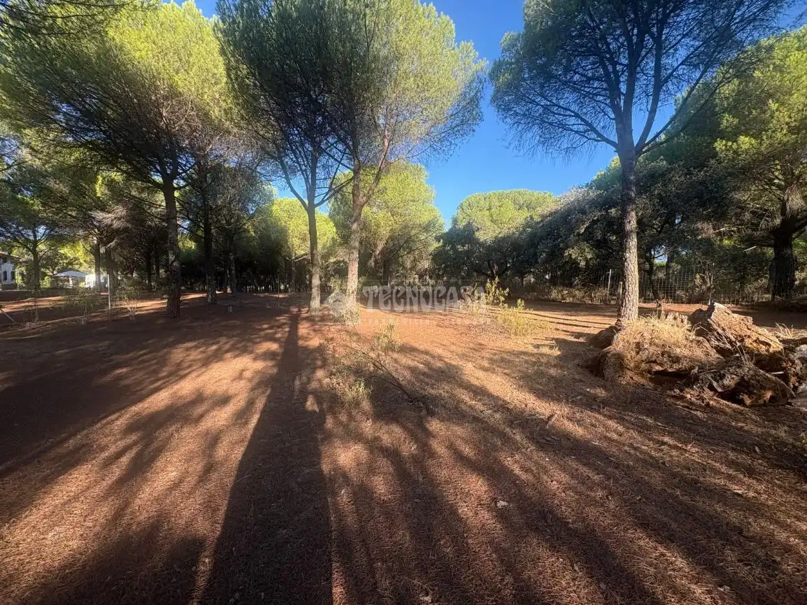 Casa rústica amb jardí en venda a Andújar, imagen 16