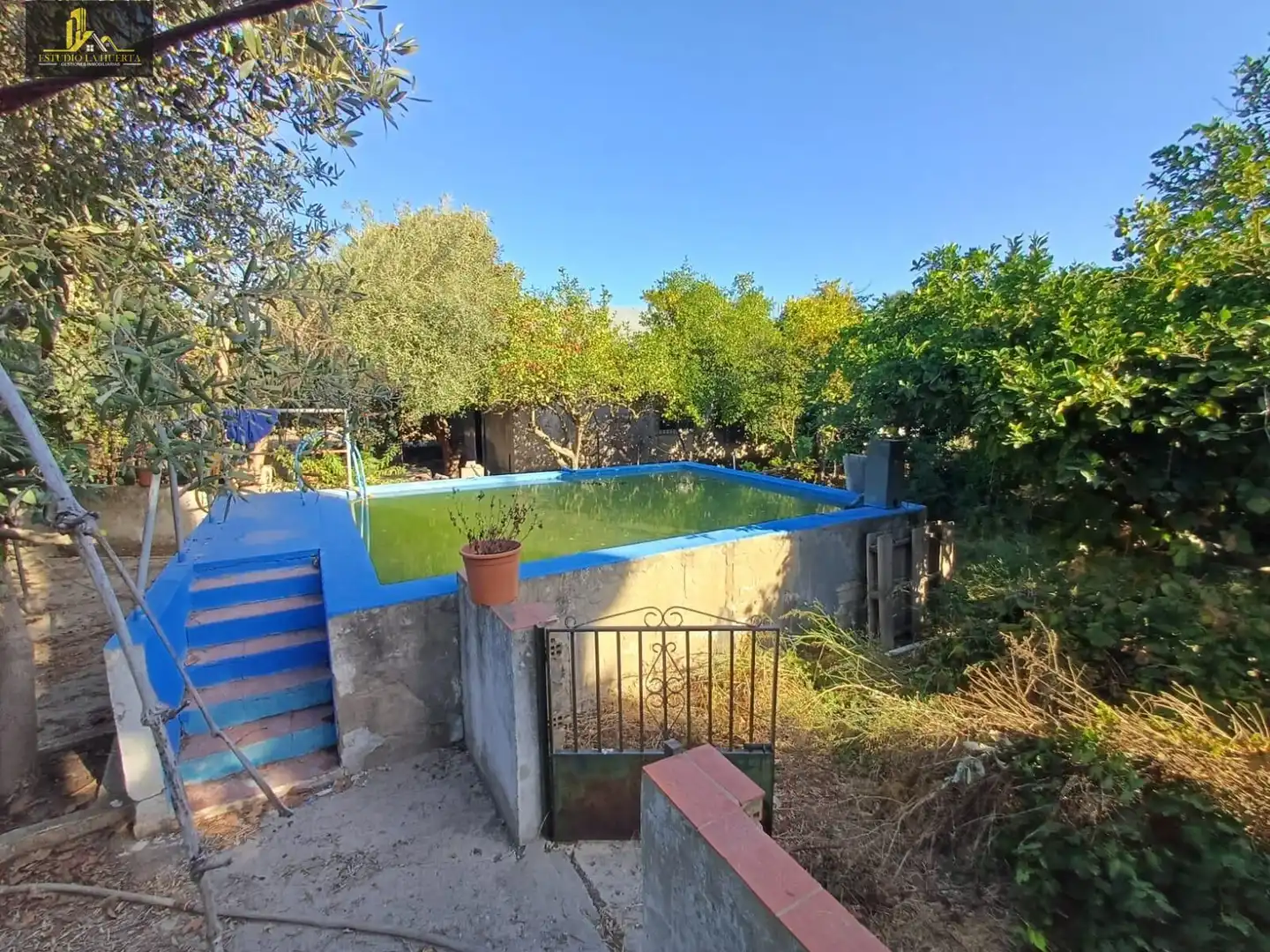 Piscina de Finca rústica en venta en Jerez de la Frontera