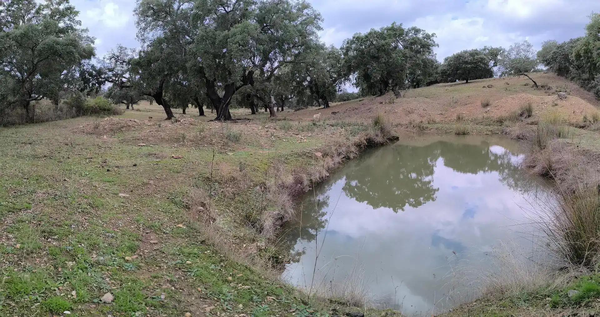 Pis en venda en Cáceres