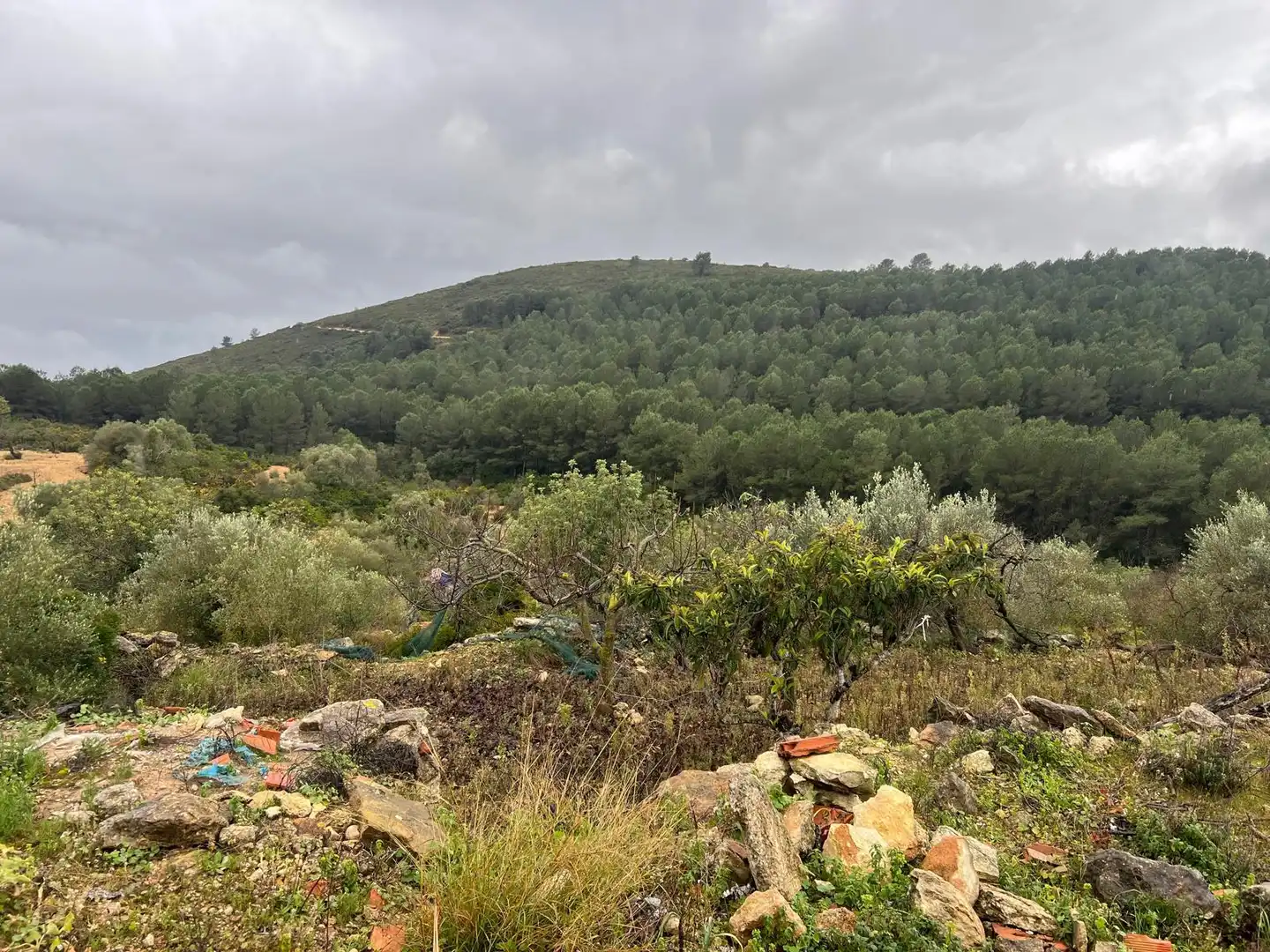 Terreno rustico in vendita a Vilanova d'Alcolea, imagen 9
