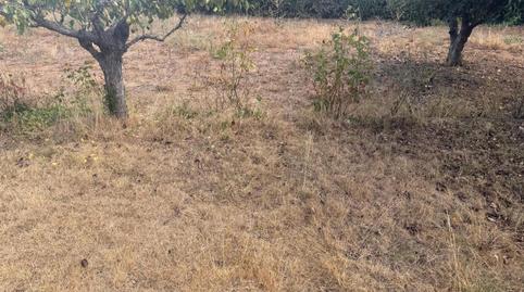 Foto 2 de Casa o xalet en venda a Los Negrillos, Valdefresno, León