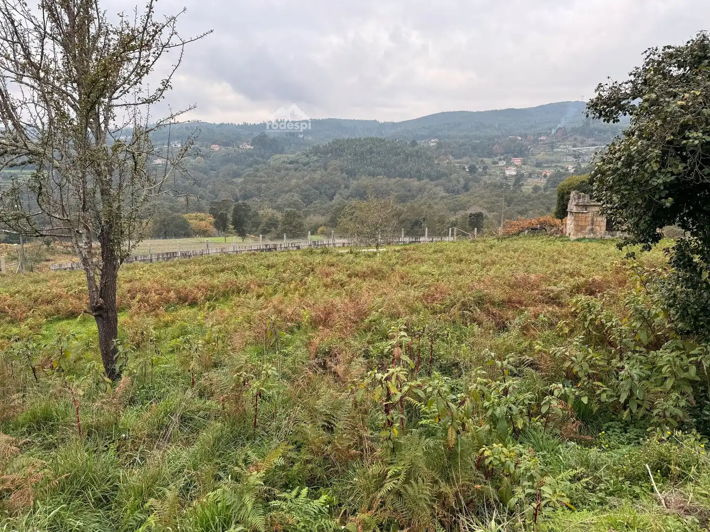 House for sale in Barro - San Ciprian das Neves, imagen 21