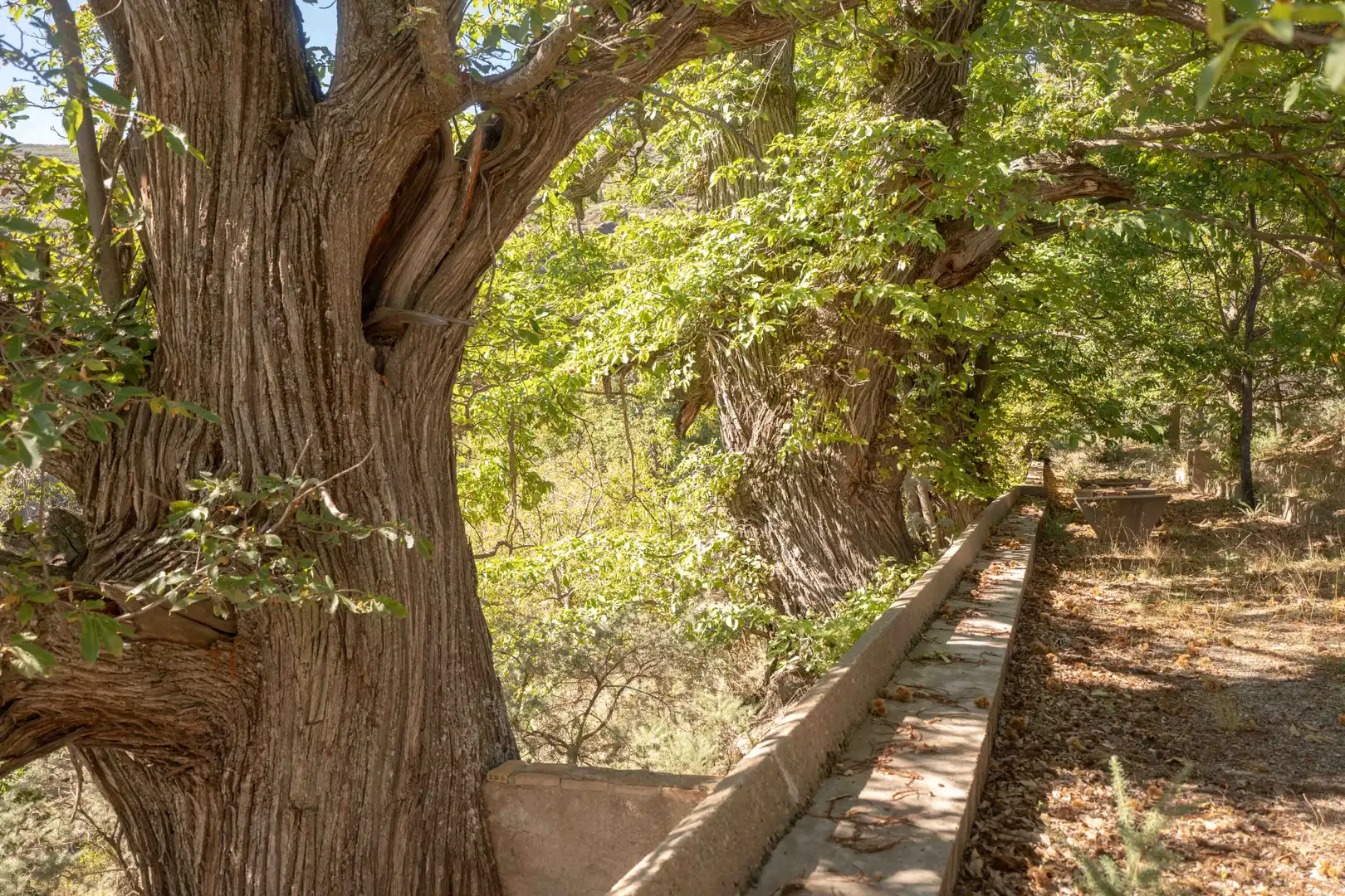 Vista exterior de Finca rústica en venda en Válor amb Jardí privat i Terrassa