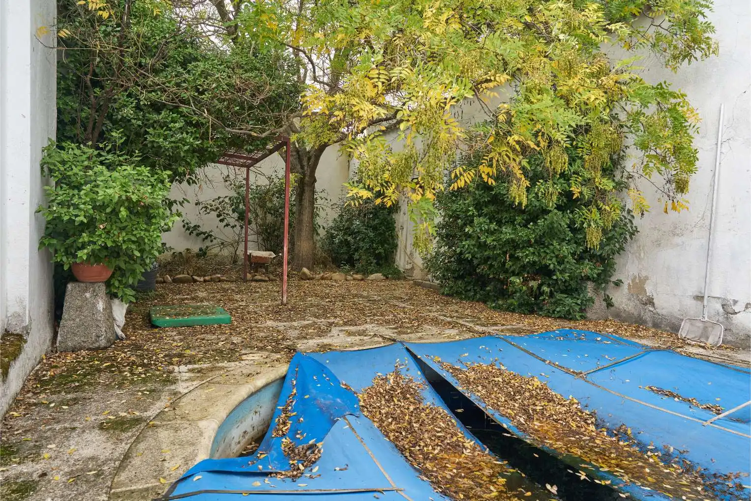 Garden of Detached homes for sale in Valdetorres de Jarama  with Private garden, Terrace and Swimming Pool