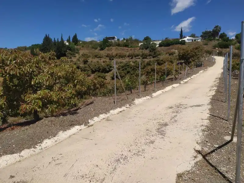 Rural land for sale in Camino de Peñones 11