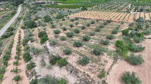 TERRENO RUSTICO, imatge 2