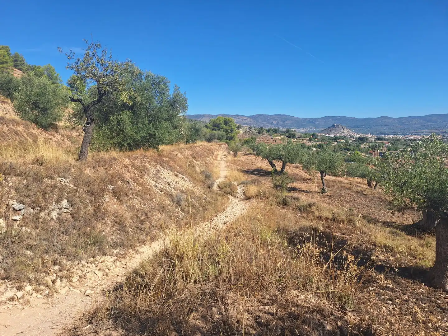 Rural land for sale in Castalla, imagen 4