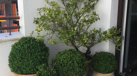 Foto 2 de Àtic en venda a Casco Histórico  - Ribera - San Basilio, Córdoba