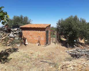 Finca rústica en venda en Jerte amb Jardí privat i Traster