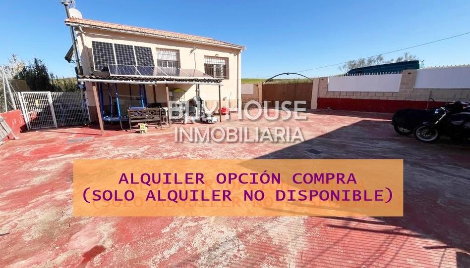 Photo 1 of House or chalet to rent in Carranque, Toledo