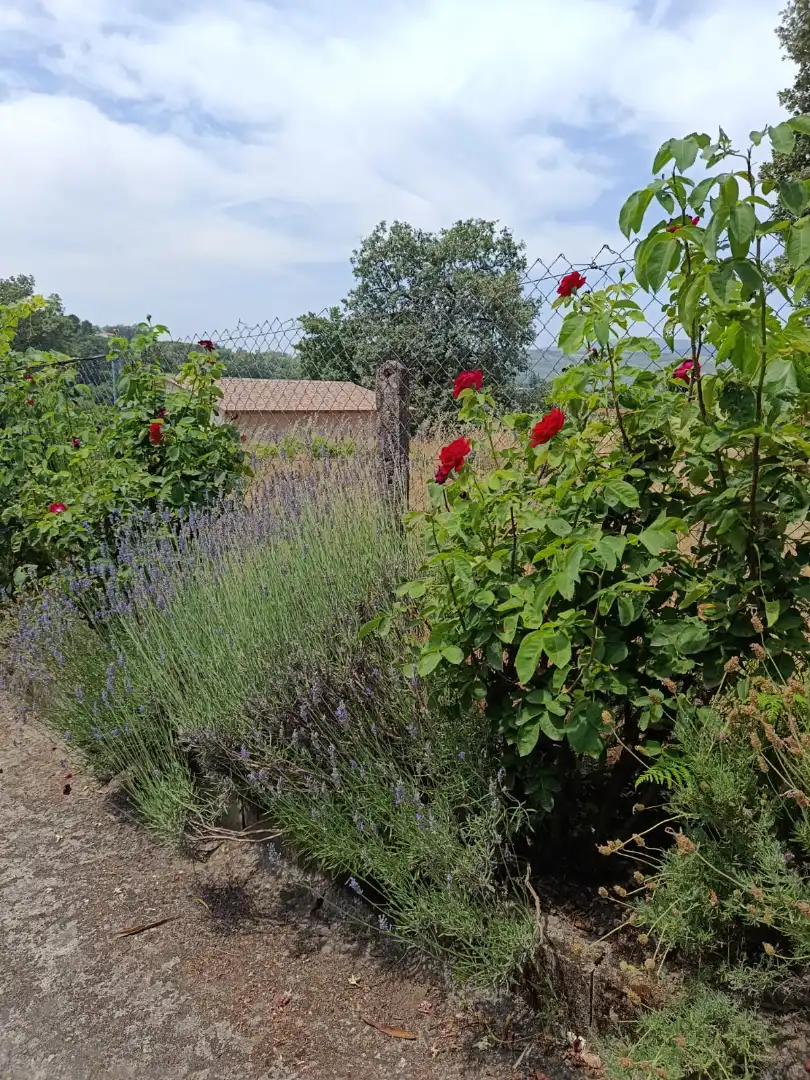 Garden of Land for sale in Jarandilla de la Vera