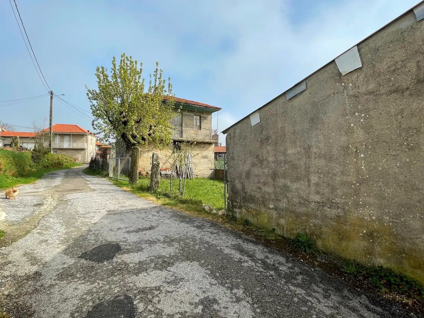 Houses for sale in Allariz