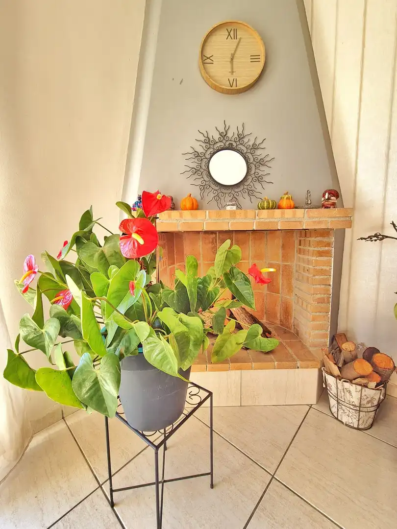 Houses for sale in Còrsega, Lloret Verd - Els Pinars