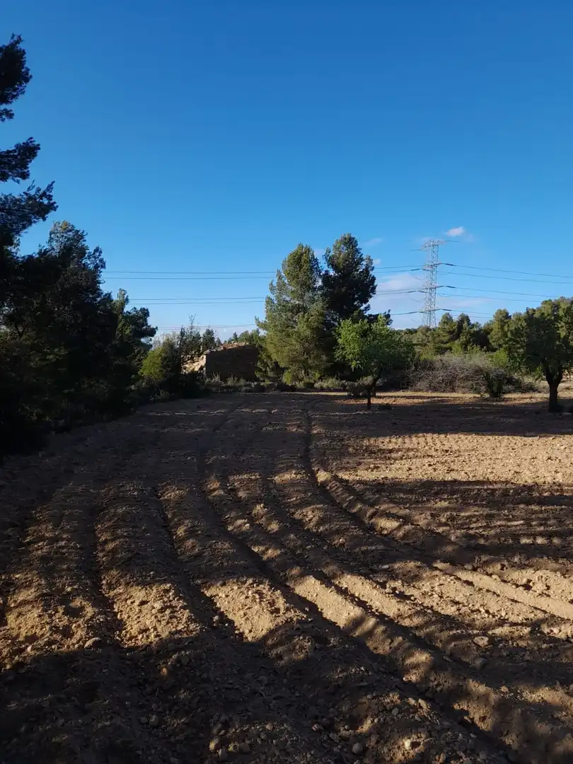 Terreno en venta en El Vilosell