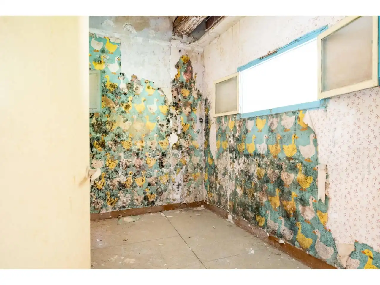 Mixte résidentiel à vendre à Calle baix del Tura, imagen 5