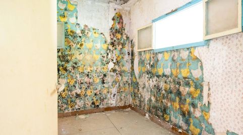 EDIFICIO EN VENTA EN EL CASCO ANTIGUO DE OLOT, imagen 5