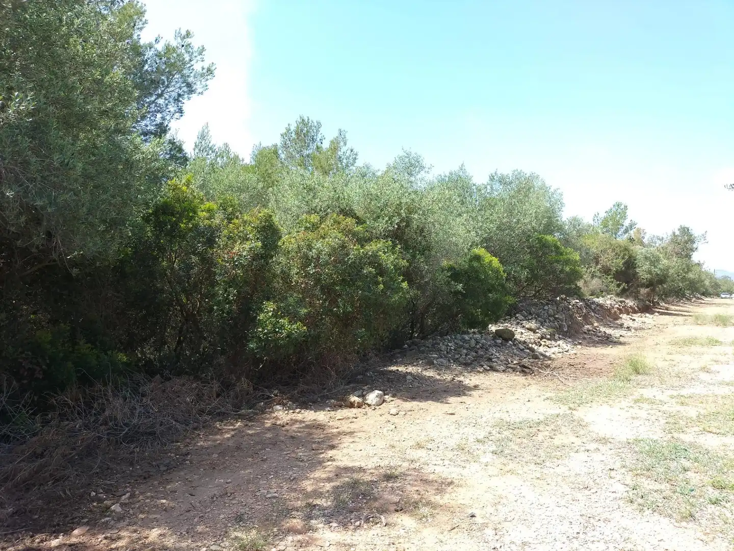Rustikales Grundstück zum Verkauf in Poble, imagen 3