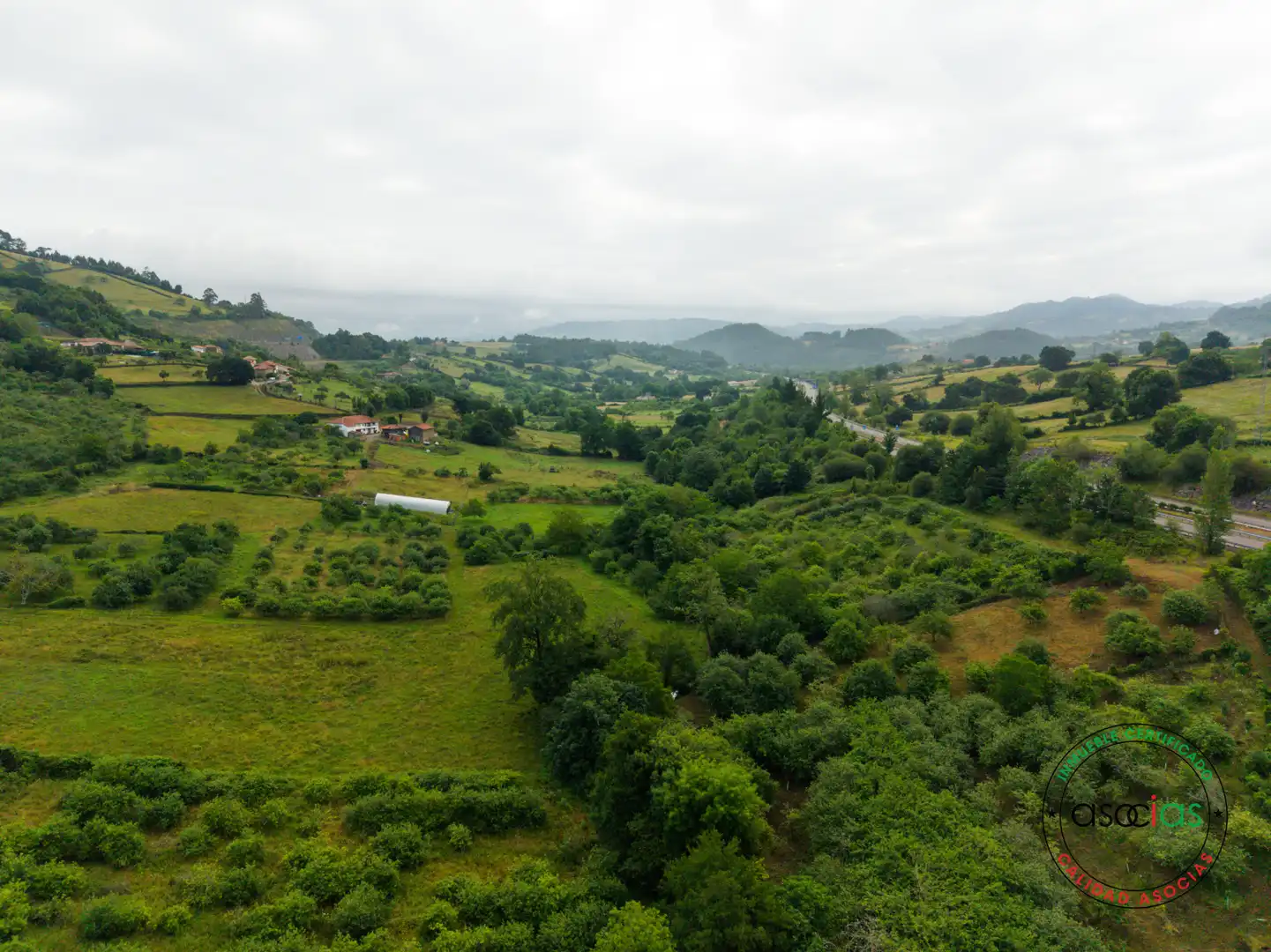 Terreno rustico in vendita a Villaviciosa - Polígono 136 Parcela 72 CUADRO L. VILLAVICIOSA ASTURIAS, imagen 32