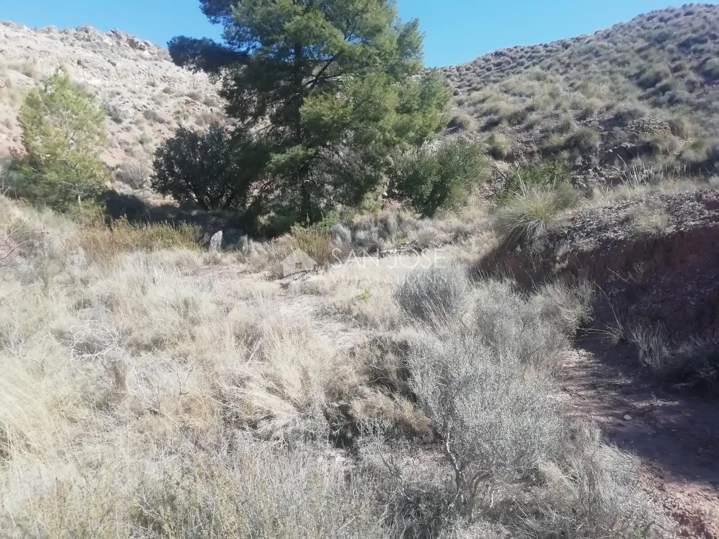 Lands and plots for sale in Abanilla, imagen 8