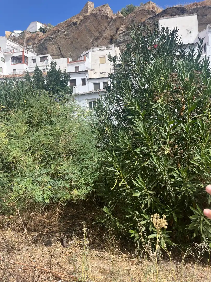 Casa o chalet en venta en Setenil de las Bodegas con Jardín privado y Trastero