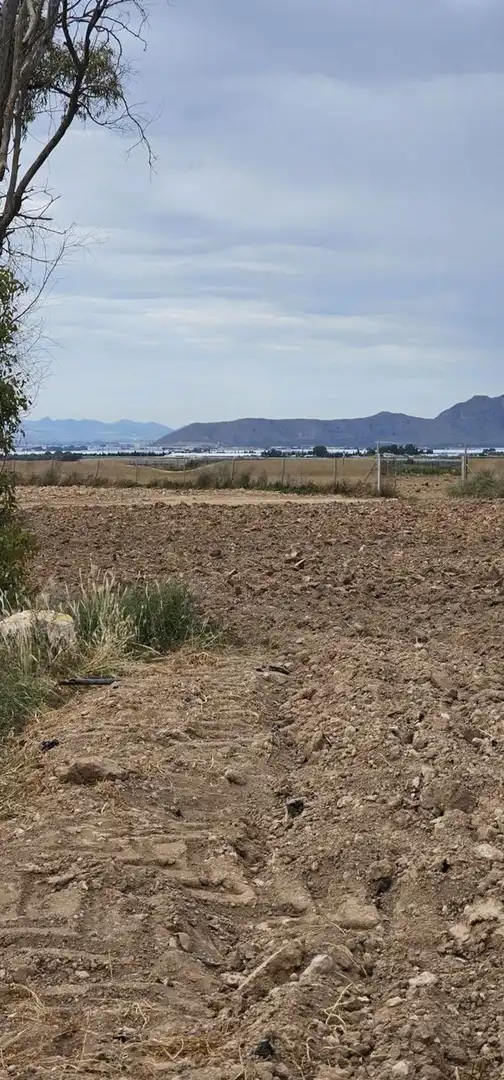 Terreno en venta en Camino el Hornico, Sucina