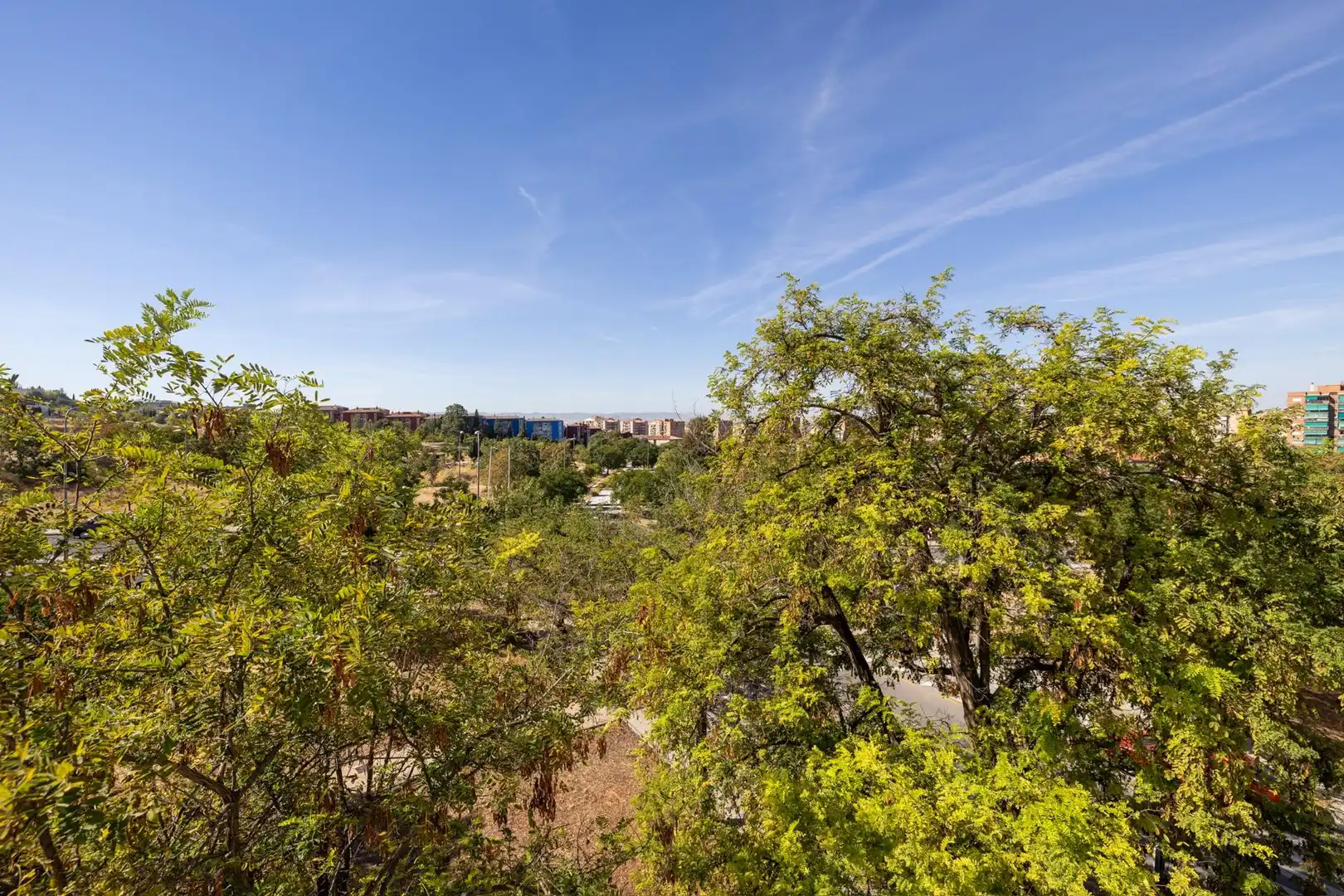 Exterior view of Flat for sale in Norte