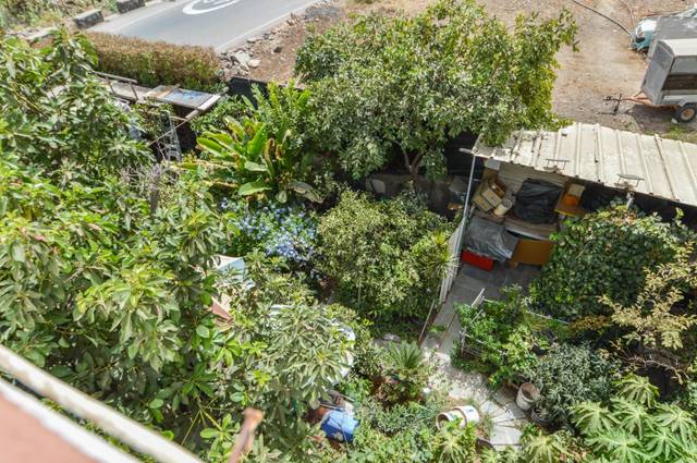 Finca rústica en Venta en El Horno