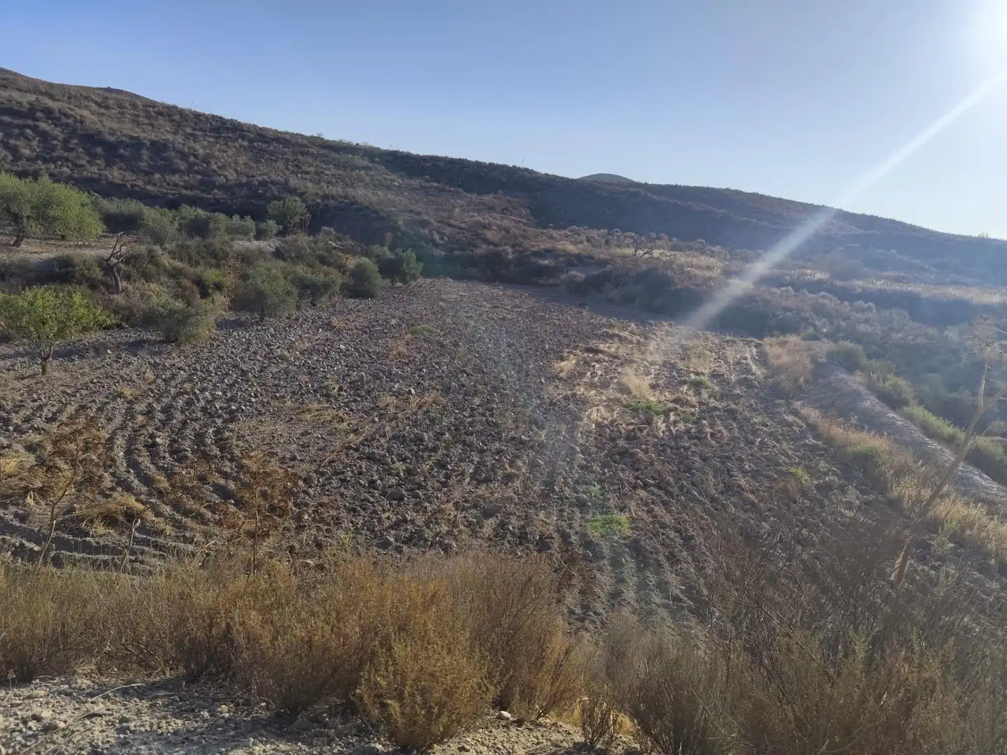 Terrains et parcelles à vendre à Pedanías Centro, imagen 3