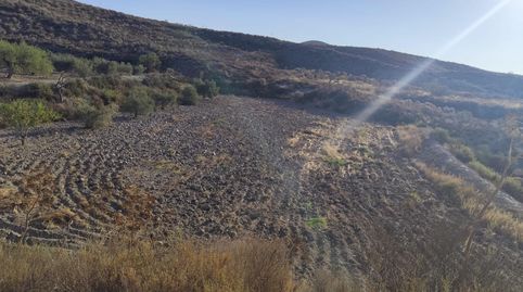 Foto 3 von Grundstücke zum Verkauf in Bejar, Lorca