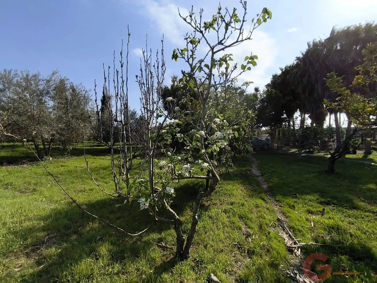 Jardí de Finca rústica en venda en Motril amb Terrassa i Traster