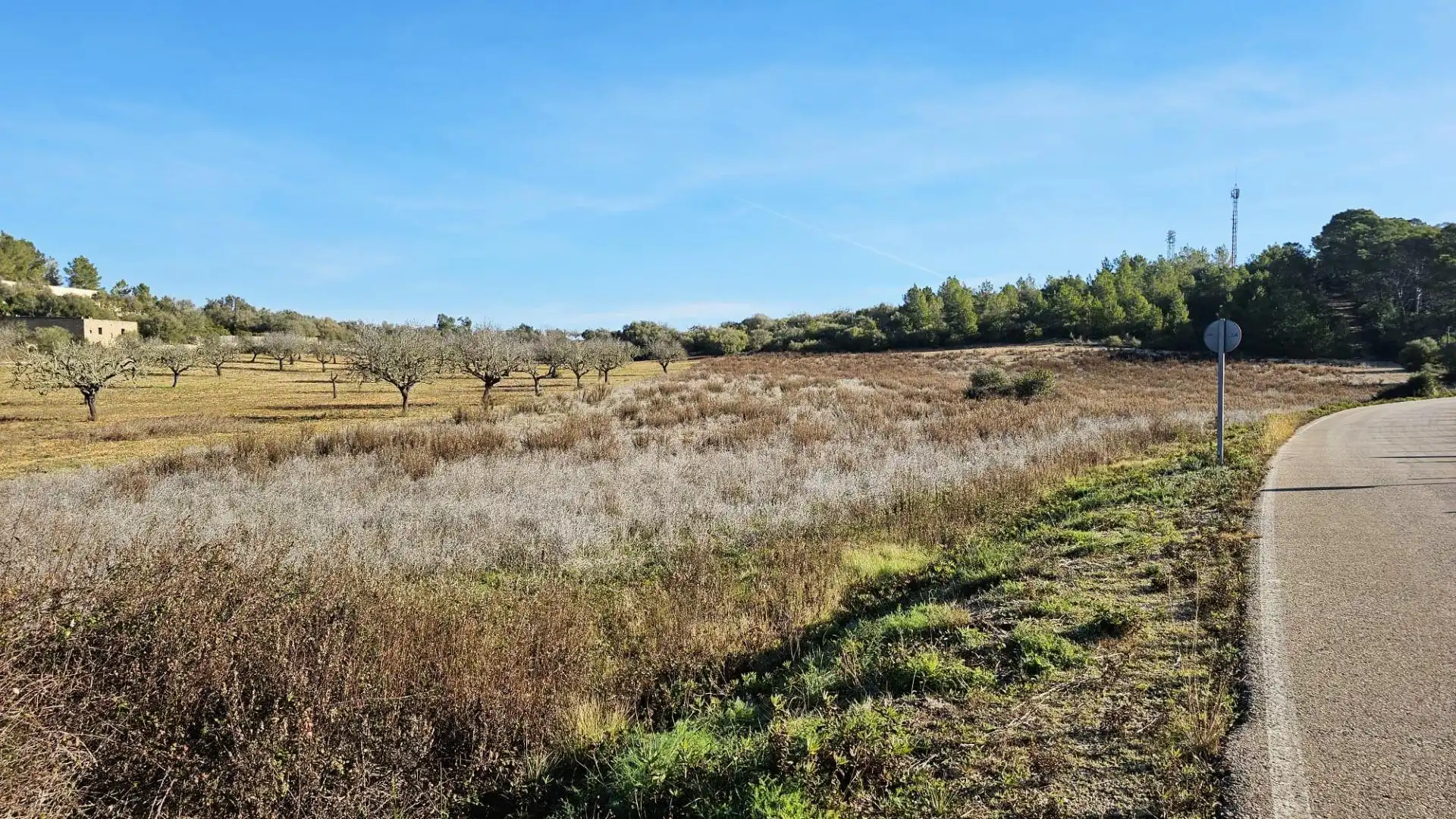 Rural land for sale in Sant Joan, imagen 6