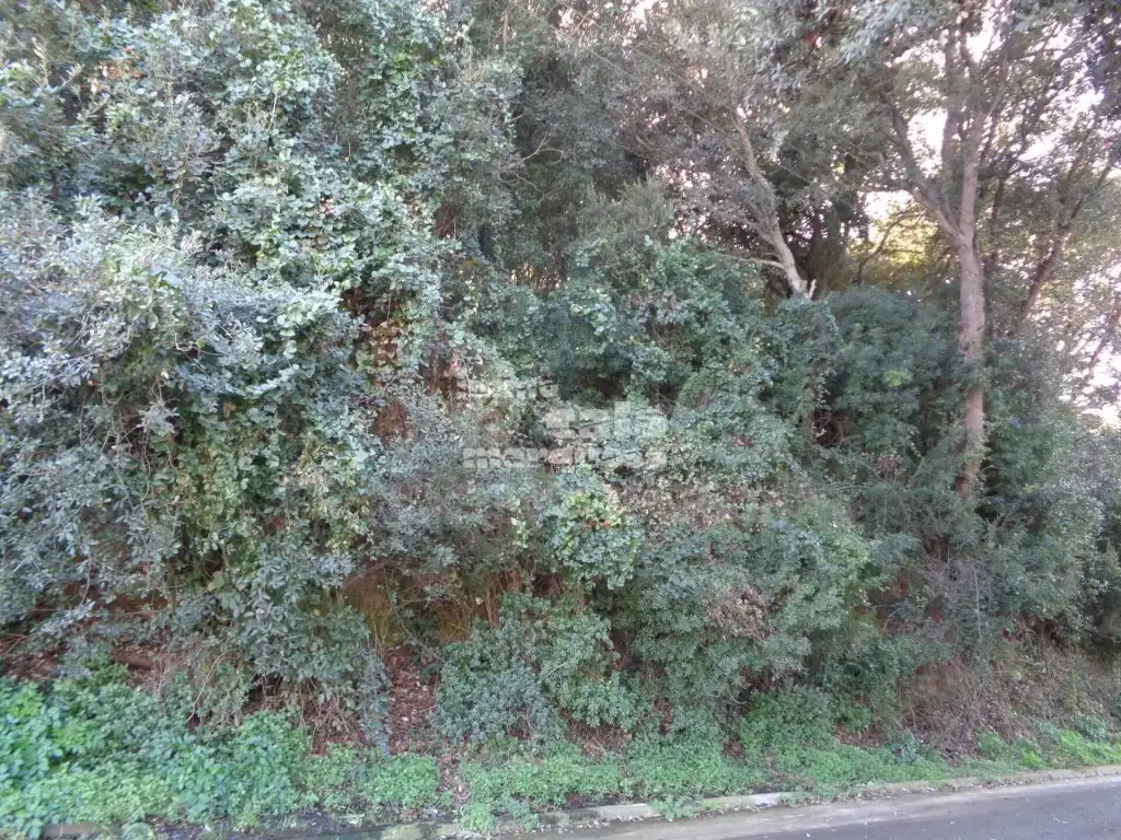 Terreny residencial en venda a Sa Riera - Sa Fontansa, imagen 3