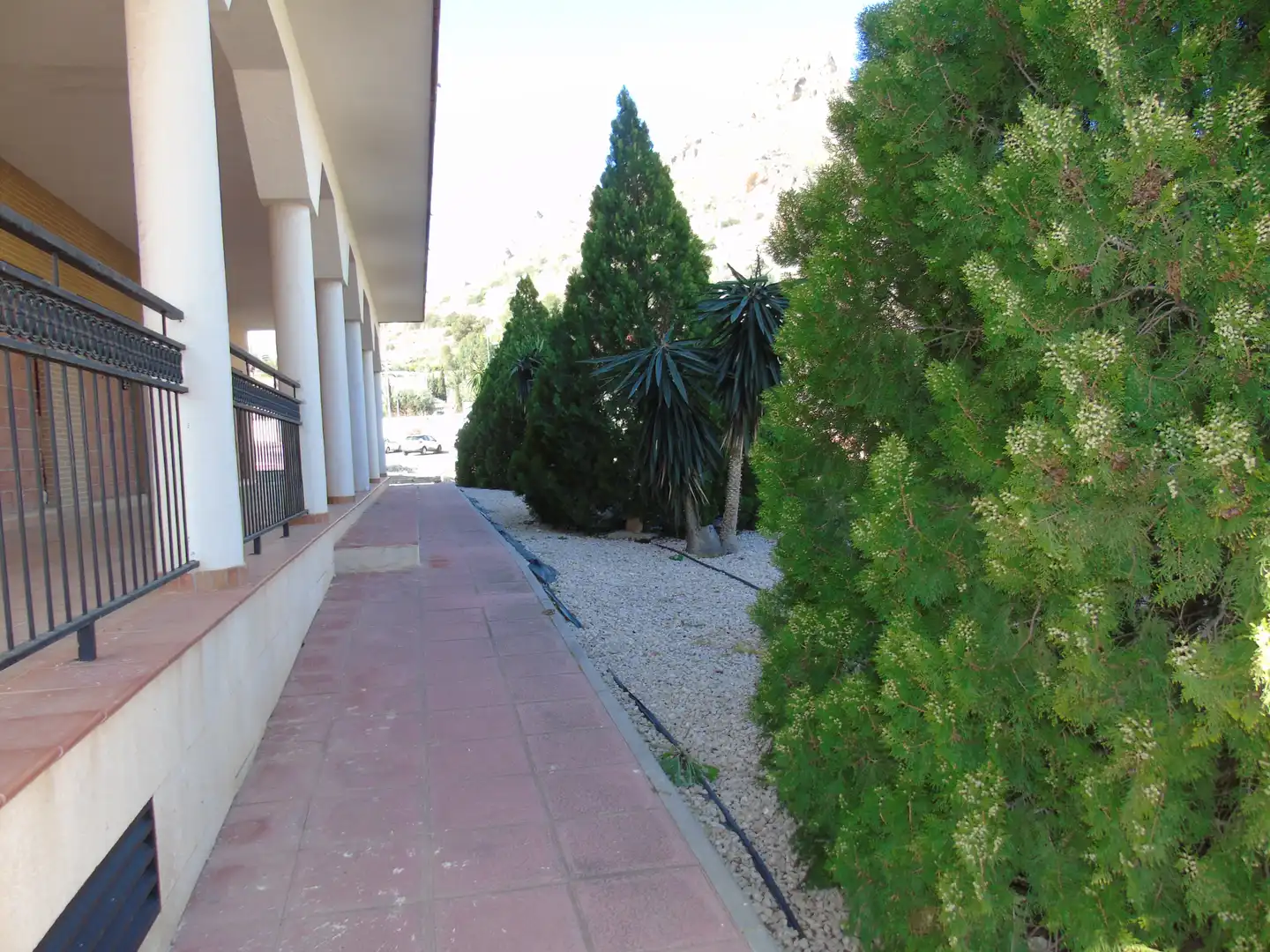 Jardín de Local en venta en Villanueva del Río Segura