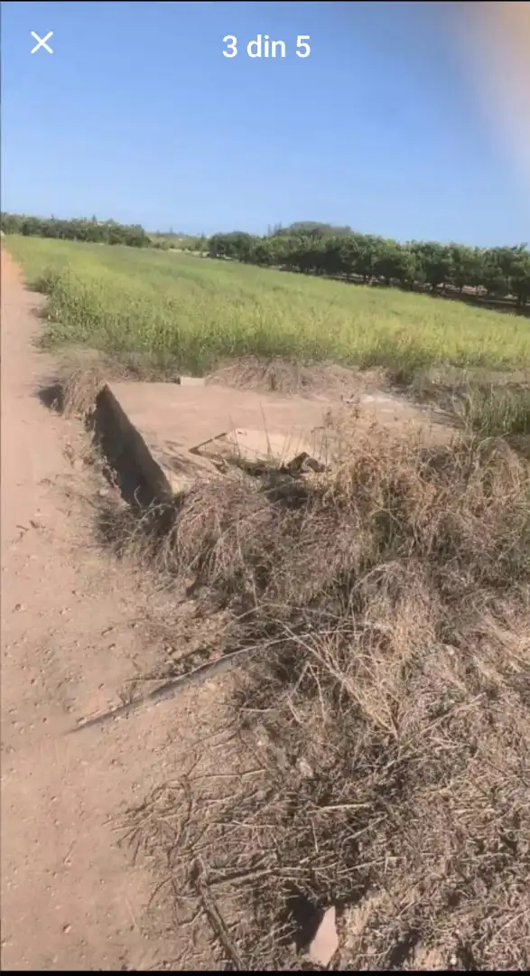 Terrain rustique à vendre à Sagunto ciudad, imagen 4
