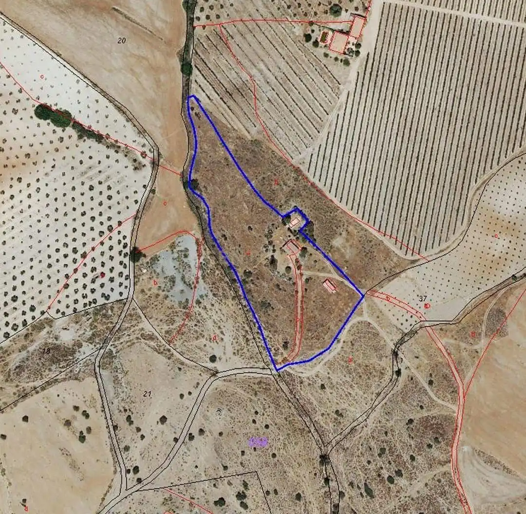 Land for sale in Azuaga