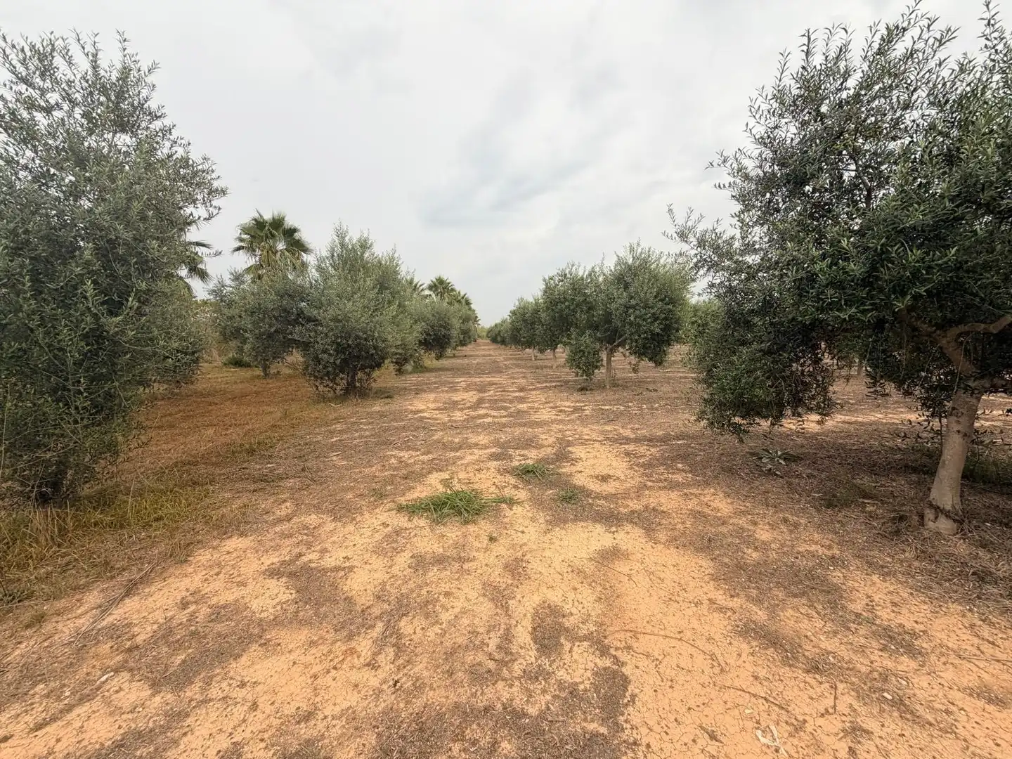 Residencial en venta en Benissoda, Valencia