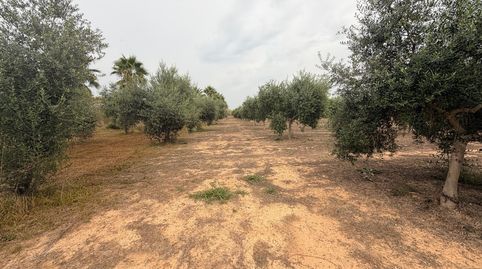 Foto 3 de Residencial en venda a Benissoda, Valencia